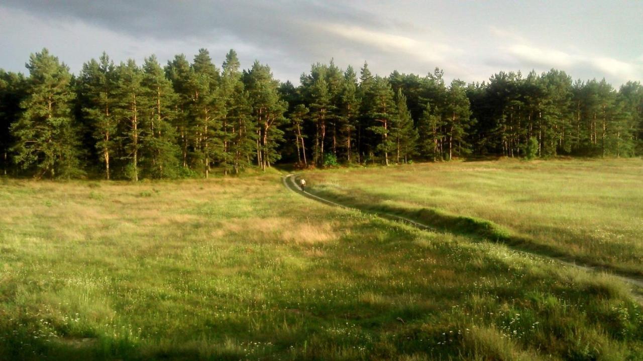 Pokoje Goscinne Weronika Ostrowo  Exteriér fotografie